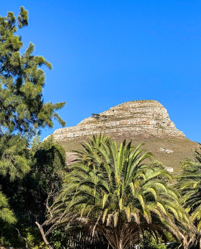 Güney Afrika-Cape Town- Lion's Head tepesi