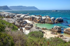 Cape Town- Table Mountain National Park- Boulders Middle Beach