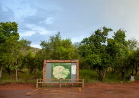 GA- Johannesburg- Pilanesberg Milli Parkı