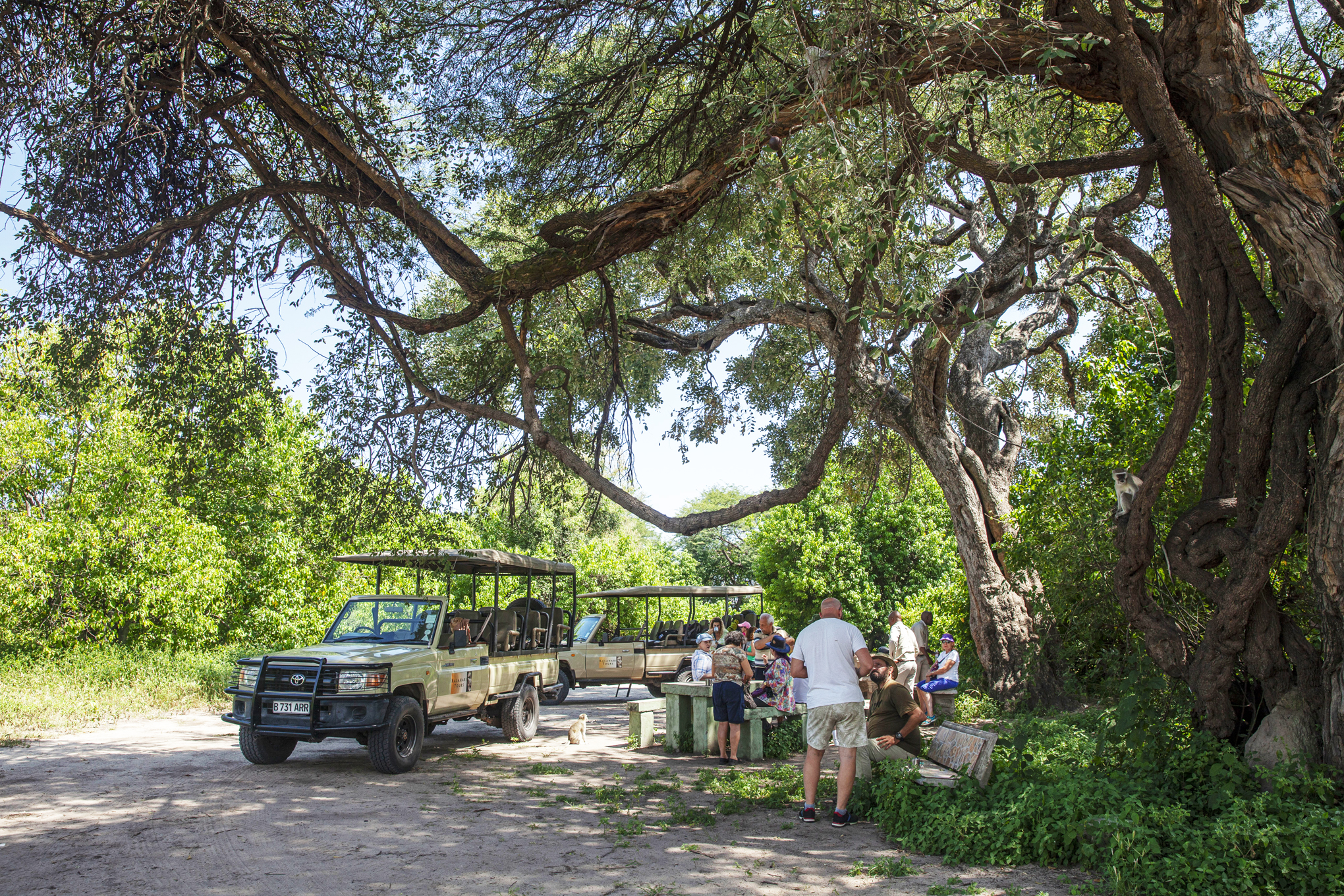 Botswana- Chobe Milli Parkı